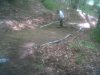 IMG00266-20110524-1254.jpg