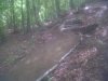 IMG00268-20110524-1257.jpg
