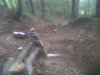 IMG00269-20110524-1606.jpg