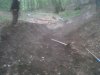 IMG00276-20110525-1441.jpg