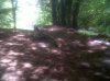 IMG00278-20110527-1124.jpg
