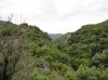 DSC00199.jpg
