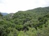 DSC00204.jpg