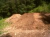IMG00353-20110609-1610.jpg