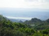 panorama1.jpg