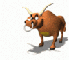 gif%20animate%20toro%20%289%29.gif