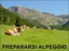 TEMPI BUI.jpg
