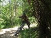 DSCF1334.jpg