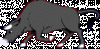 gif%20animate%20toro%20(14).gif