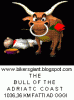 gif%20animate%20toro%20%287%29.gif
