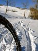 05.12.18-polinago-snow-039.jpg