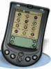 Palm_m105.gif