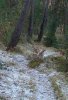 monte marcello3.JPG