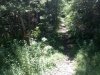 09072011550.jpg