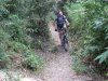 Y_IMG_2097.JPG