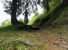 DSC03998.jpg