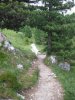 ORTISEI LUGLIO 2011 149.jpg