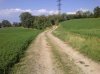 foto3.jpg