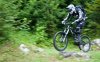 DSC_0737.jpg