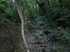 15072011093.jpg