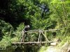 PICT0215.jpg
