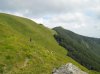 DSCN0781.jpg