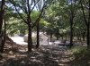 DSCN0021.jpg
