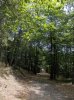DSCN0048.jpg