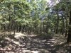 DSCN0018.jpg