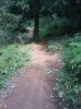 IMAG_0156.jpg