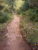 IMAG_0157.jpg