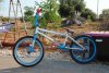DSC_1131.jpg