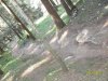SDC12969.jpg
