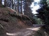 DSCN0148.jpg