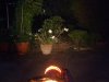 DSCF5378.jpg