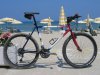 ritchey2006.1.jpg