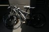 29er.jpg