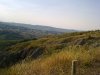 16082011230.jpg