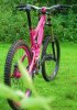 SXTrail2 pink.jpg
