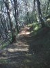 IMG_20110911_110124.jpg