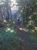 IMG_20110911_111024.jpg
