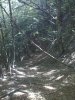 IMG_20110911_111441.jpg