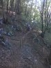 IMG_20110911_112924.jpg