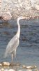 DSC08704.jpg