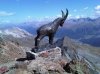 Piz Nair Cornuto.jpg