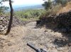 DSCN0309.jpg