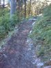 IMAG_0179.jpg