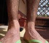 Foots.jpg