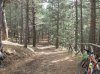 DSCN0346.jpg
