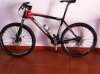 Bici 001.jpg